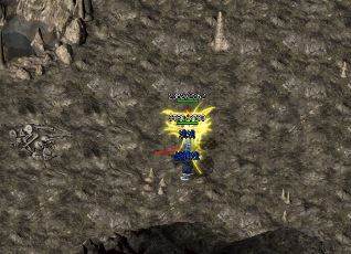 在《传奇》游戏中,哪个职业的玩家最多? 在《传奇》游戏中,哪个职业的玩家最多?