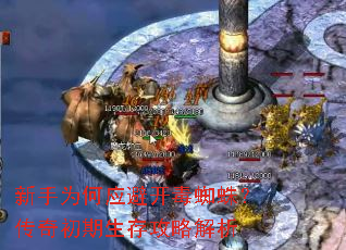����Ϊ��Ӧ�ܿ���֩�룿����������湥�Խ���