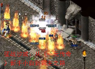 征战沙城:从《一元传奇》新手小白到霸主之路 征战沙城:从《一元传奇》新手小白到霸主之路