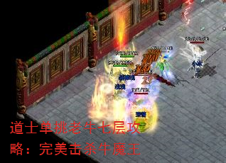��ʿ������ţ�߲㹥�ԣ�������ɱţħ��