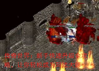 �������磺���ֿ�������ȫ���ԣ��������ɳ�Ϊ�귨��ʦ