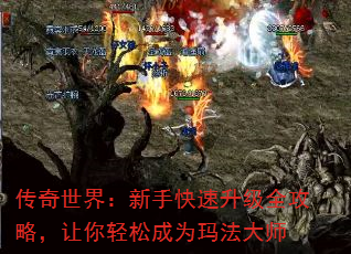 �������磺���ֿ�������ȫ���ԣ��������ɳ�Ϊ�귨��ʦ