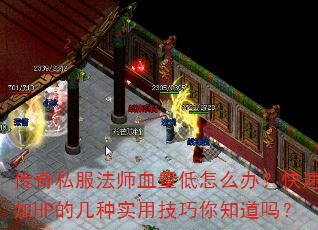 ����˽����ʦѪ������ô�죿��������HP�ļ���ʵ�ü�����֪����