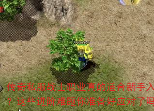 ����˽��սʿְҵ����ʺ�������������Щ����������׼����Ӧ������