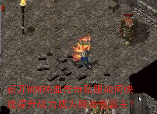 �¿�WOW��Ѫ����˽����ο�������ս����Ϊ������������