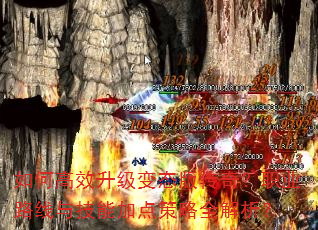 ��θ�Ч������̬�洫�棿ְҵ·���뼼�ܼӵ����ȫ������