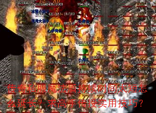 ����˽��ħ���ܳ���ʱ��̫����ô�ӳ�������ִ���ʵ�ü��ɣ�