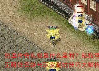 ��Ѫ����˽����ʲôӯ����˽������׬Ǯ��·����ұܿӼ��ɴ����
