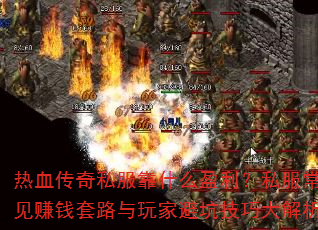��Ѫ����˽����ʲôӯ����˽������׬Ǯ��·����ұܿӼ��ɴ����