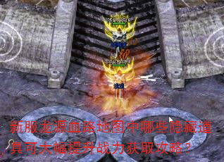 �·���ԴѪ·��ͼ����Щ���ص��߿ɴ������ս����ȡ���ԣ�