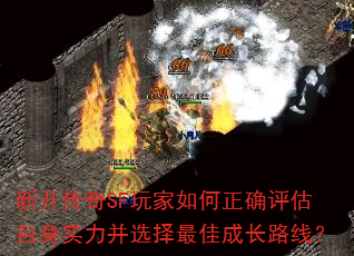 �¿�����SF��������ȷ��������ʵ����ѡ����ѳɳ�·�ߣ�