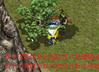 �ұ���Ĭ����������������似�ܣ����ֱؿ��ĸ�Чս�������ؾ�����Щ��