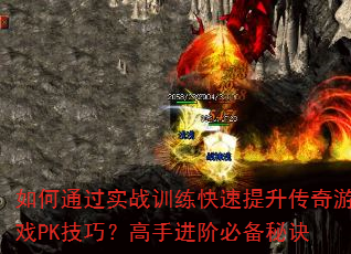 ���ͨ��ʵսѵ����������������ϷPK���ɣ����ֽ��ױر��ؾ�