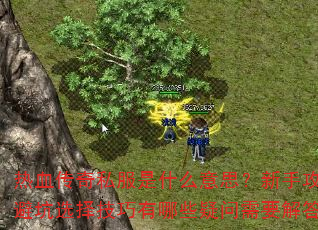 ��Ѫ����˽����ʲô��˼�����ֹ�����ܿ�ѡ��������Щ������Ҫ���