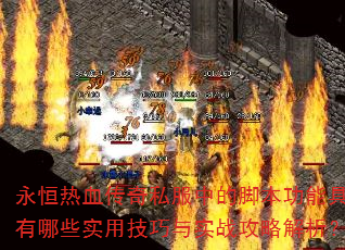 ������Ѫ����˽���еĽű����ܾ�������Щʵ�ü�����ʵս���Խ�����