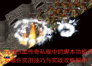 ������Ѫ����˽���еĽű����ܾ�������Щʵ�ü�����ʵս���Խ�����