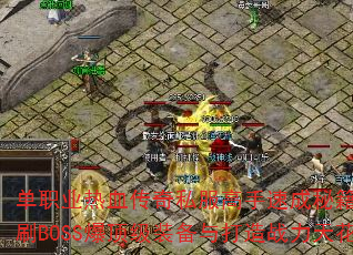 ��ְҵ��Ѫ����˽�������ٳ��ؼ�����ο���ˢBOSS������װ�������ս���컨�壿