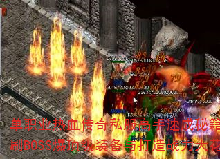 ��ְҵ��Ѫ����˽�������ٳ��ؼ�����ο���ˢBOSS������װ�������ս���컨�壿