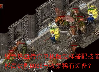��ɫ��Ѫ���浥�����������似�ܲ��ܸ�ЧˢBOSS���ռ�ϡ��װ����