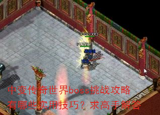�б䴫������boss��ս��������Щʵ�ü��ɣ�����ֽ��
