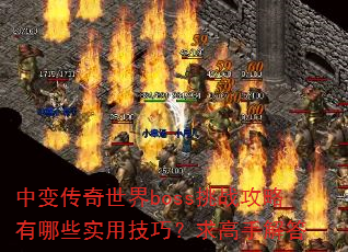 �б䴫������boss��ս��������Щʵ�ü��ɣ�����ֽ��