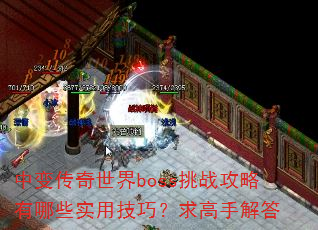 �б䴫������boss��ս��������Щʵ�ü��ɣ�����ֽ��