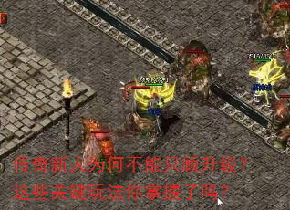 传奇新人为何不能只顾升级?这些关键玩法你掌握了吗? 传奇新人为何不能只顾升级?这些关键玩法你掌握了吗?