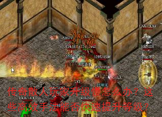 传奇散人玩家升级慢怎么办?这些高效手法能否快速提升等级? 传奇散人玩家升级慢怎么办?这些高效手法能否快速提升等级?