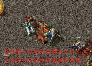 传奇散人玩家升级慢怎么办?这些高效手法能否快速提升等级? 传奇散人玩家升级慢怎么办?这些高效手法能否快速提升等级?