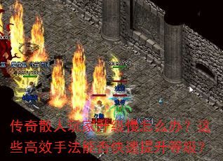 传奇散人玩家升级慢怎么办?这些高效手法能否快速提升等级? 传奇散人玩家升级慢怎么办?这些高效手法能否快速提升等级?