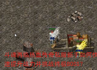 ����������Ѫ����˽��������ο�������ս������ս�ռ�BOSS��