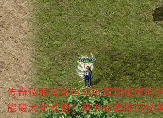 ����˽������Զ�ʰȡ���ܺ�ʱ������������棿���ֱؿ����ɷ���