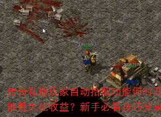 ����˽������Զ�ʰȡ���ܺ�ʱ������������棿���ֱؿ����ɷ���