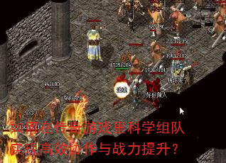 ����ڴ�����Ϸ���ѧ���ʵ�ָ�ЧЭ����ս��������