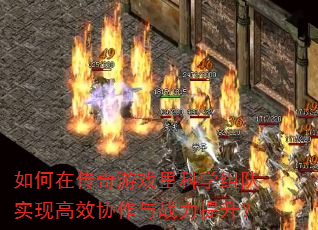 ����ڴ�����Ϸ���ѧ���ʵ�ָ�ЧЭ����ս��������