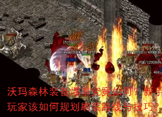沃玛森林装备爆率究竟如何?新手玩家该如何规划刷装路线与技巧? 沃玛森林装备爆率究竟如何?新手玩家该如何规划刷装路线与技巧?