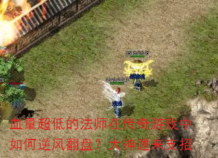 Ѫ�����͵ķ�ʦ�ڴ�����Ϸ�������緭�̣���������֧��