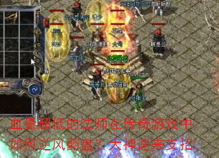 Ѫ�����͵ķ�ʦ�ڴ�����Ϸ�������緭�̣���������֧��