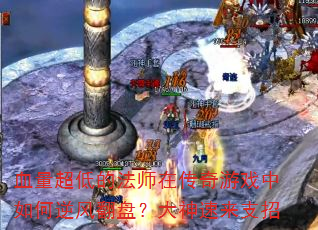 Ѫ�����͵ķ�ʦ�ڴ�����Ϸ�������緭�̣���������֧��