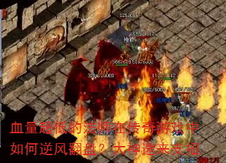 Ѫ�����͵ķ�ʦ�ڴ�����Ϸ�������緭�̣���������֧��