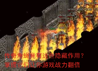 �����Ӭ������Щ�������ã���������������Ϸս������