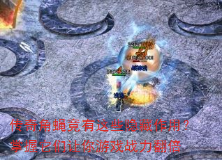 �����Ӭ������Щ�������ã���������������Ϸս������