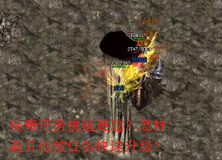 ����������ѡ���⣿�����ܿ���Ч�������������