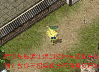 传奇私服道士遇到法师只能低头认输?教你三招实战技巧强势反压制 传奇私服道士遇到法师只能低头认输?教你三招实战技巧强势反压制