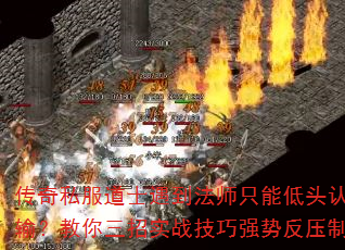 ����˽����ʿ������ʦֻ�ܵ�ͷ���䣿��������ʵս����ǿ�Ʒ�ѹ��