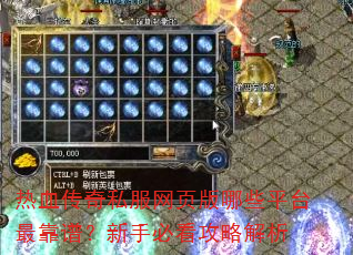 ��Ѫ����˽����ҳ����Щƽ̨��ף����ֱؿ����Խ���