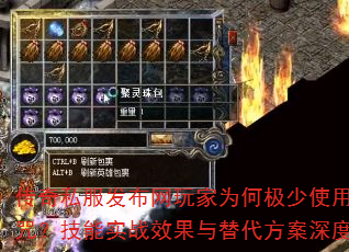 ����˽�����������Ϊ�μ���ʹ����ħ�䣿����ʵսЧ�������������Ƚ���