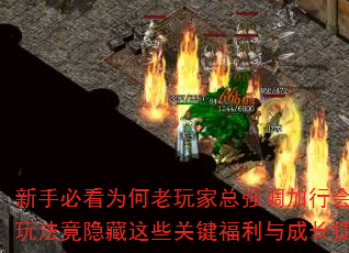 新手必看为何老玩家总强调加行会?行会玩法竟隐藏这些关键福利与成长捷径? 新手必看为何老玩家总强调加行会?行会玩法竟隐藏这些关键福利与成长捷径?