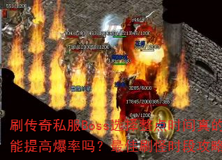 ˢ����˽��Bossѡ������ʱ���������߱��������ˢ��ʱ�ι��ԣ�