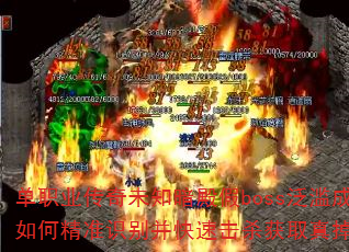 ��ְҵ����δ֪�����boss���ĳ�����ξ�׼ʶ�𲢿��ٻ�ɱ��ȡ����䣿